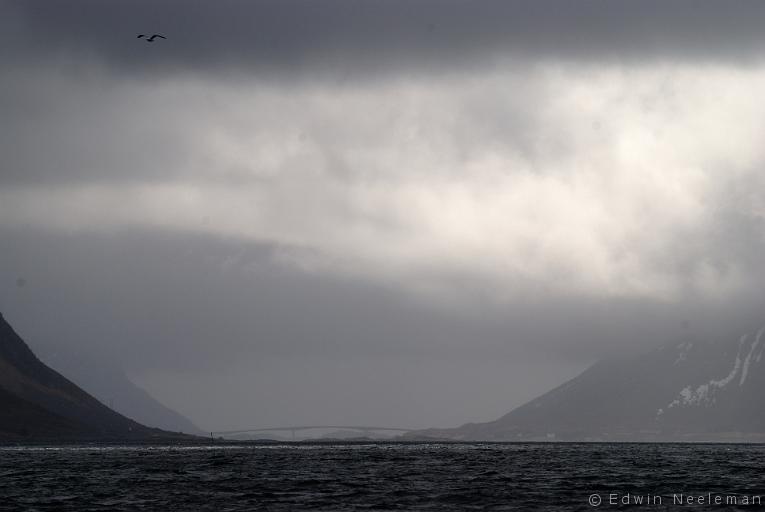 ENE-20090503-0340.jpg - [nl] Hadselfjorden/Sunnlandsfjorden, Austvågøy, Lofoten, Noorwegen[en] Hadselfjorden/Sunnlandsfjorden, Austvågøy, Lofoten, Norway